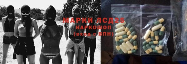 гидра Медвежьегорск