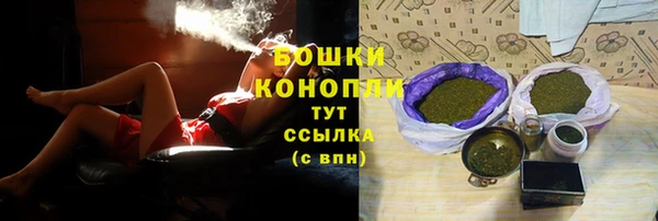 PSILOCYBIN Медногорск