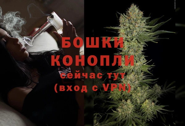 PSILOCYBIN Медногорск