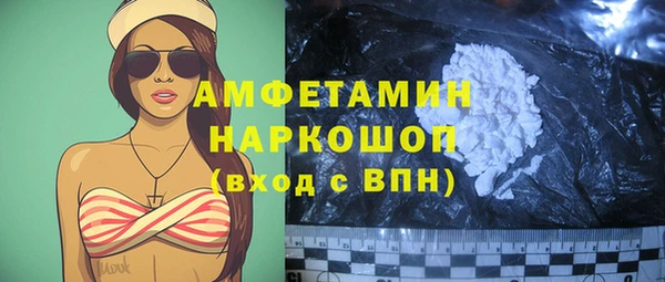 прущий лед Новозыбков
