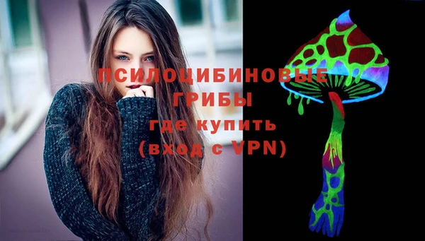 PSILOCYBIN Медногорск