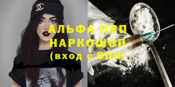 PSILOCYBIN Снежногорск